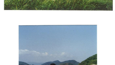 훈련(서천)